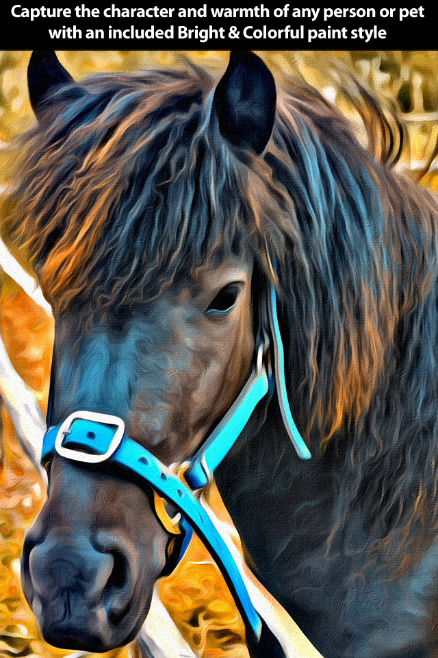 Portrait Painter iPhone